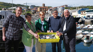 Imagen del artículo Cerca de 7 millones de kilos de anchoa y 9,1 millones de verdel descargados en los puertos de Euskadi