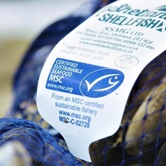 
      Un sello de calidad de MSC
    