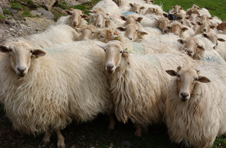 
      Mikel Arrazola/EK argazkiak
    