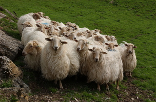 
      Mikel Arrazola / EJ Argazkiak
    