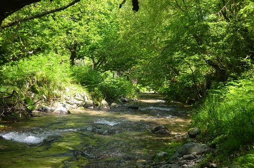 Ibaia, Oiartzundik igarotzen