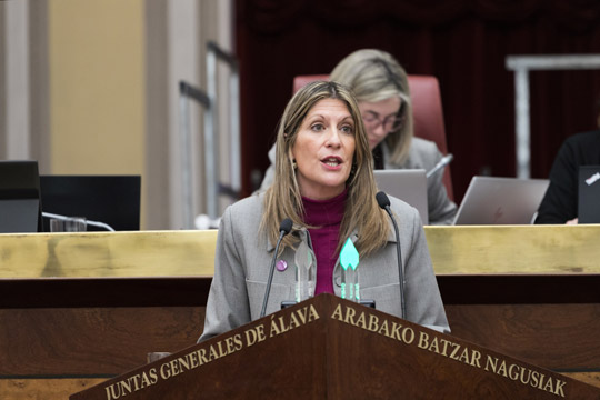 Álava refuerza su apuesta por el audiovisual con la mayor dotación histórica: 21 proyectos apoyados y una estrategia integral para el sector