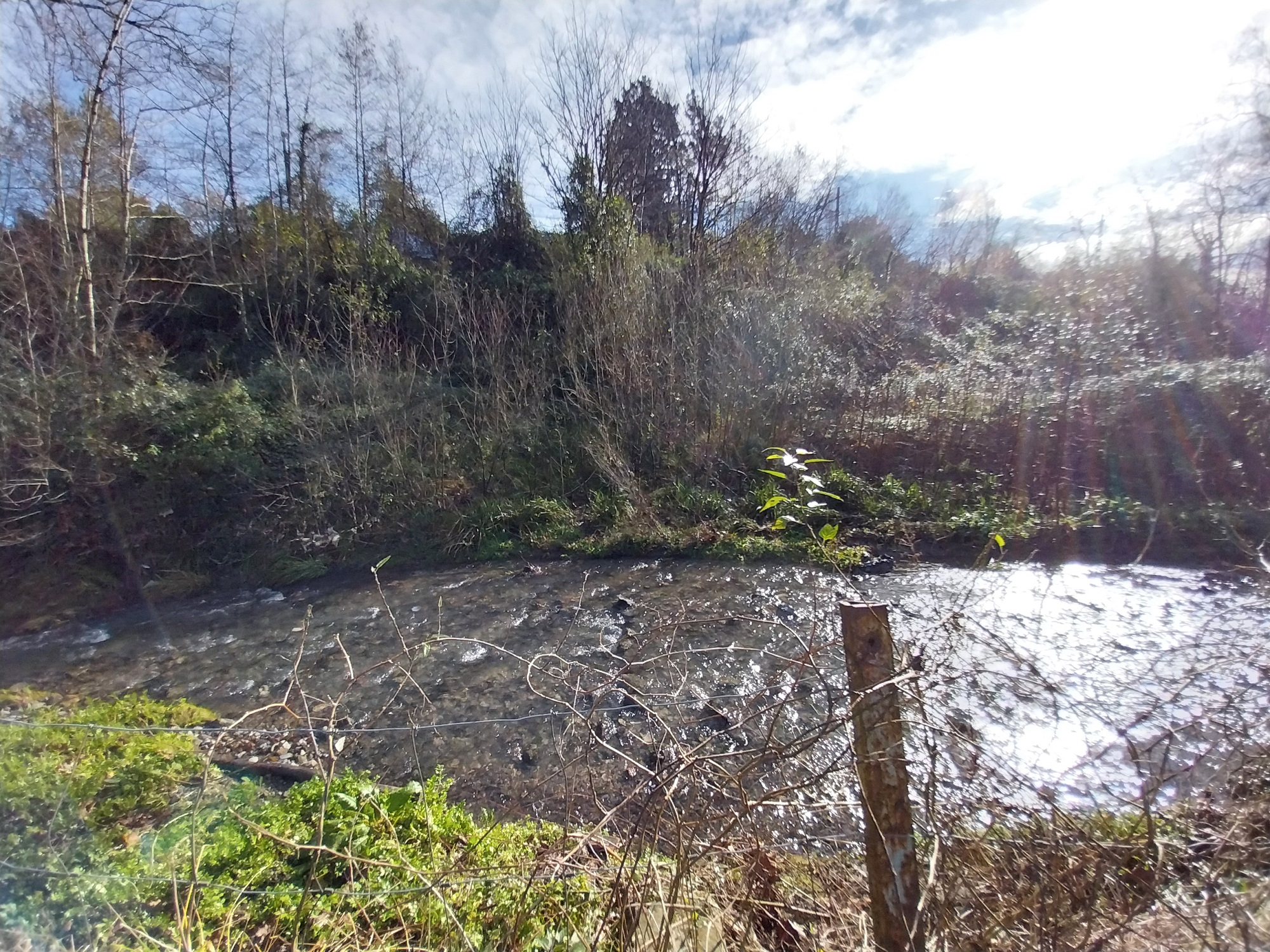 Trankaz, restauraci&oacute;n tras eliminar caseta bombeo y muro  