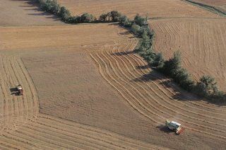 
      Mikel Arrazola argazkia
    