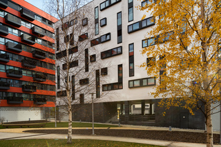 
      _IP_0659.jpg
    
