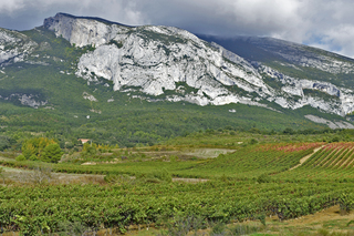 
      Mikel Arrazola & EJ GV argazkia
    