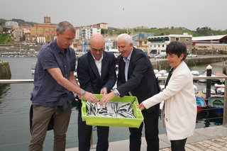 
      ARGAZKIAK EJ GV & KOFRADIA
    