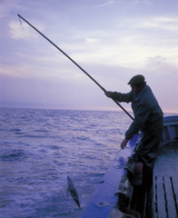 
      Mikel Arrazola/Eusko Jaurlaritza argazkiak
    