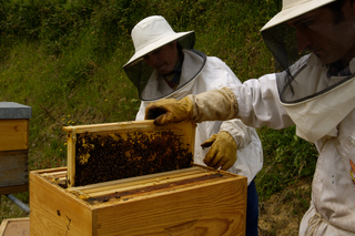 
      ARGAZKIAK: MIKEL ARRAZOLA & EUSKO JAURLARITZA
    