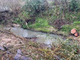 
      Mantzorriz, Mungian, ibaian egindako jarduketa
    