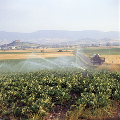 
      Araba, (Mikel Arrazola argazkiak)
    