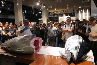 
      Hegalaburraren Kaitai Donostiako Itsas Kofradian
    