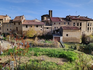 
      SAMANIEGO.jpg
    