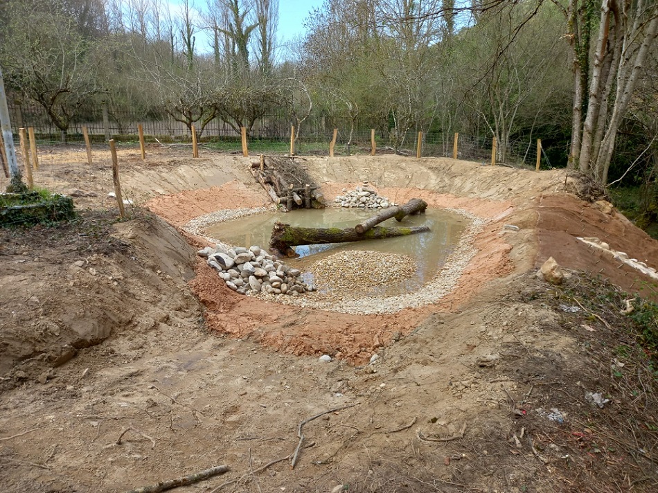 Nueva charca para anfibios en Berganzo