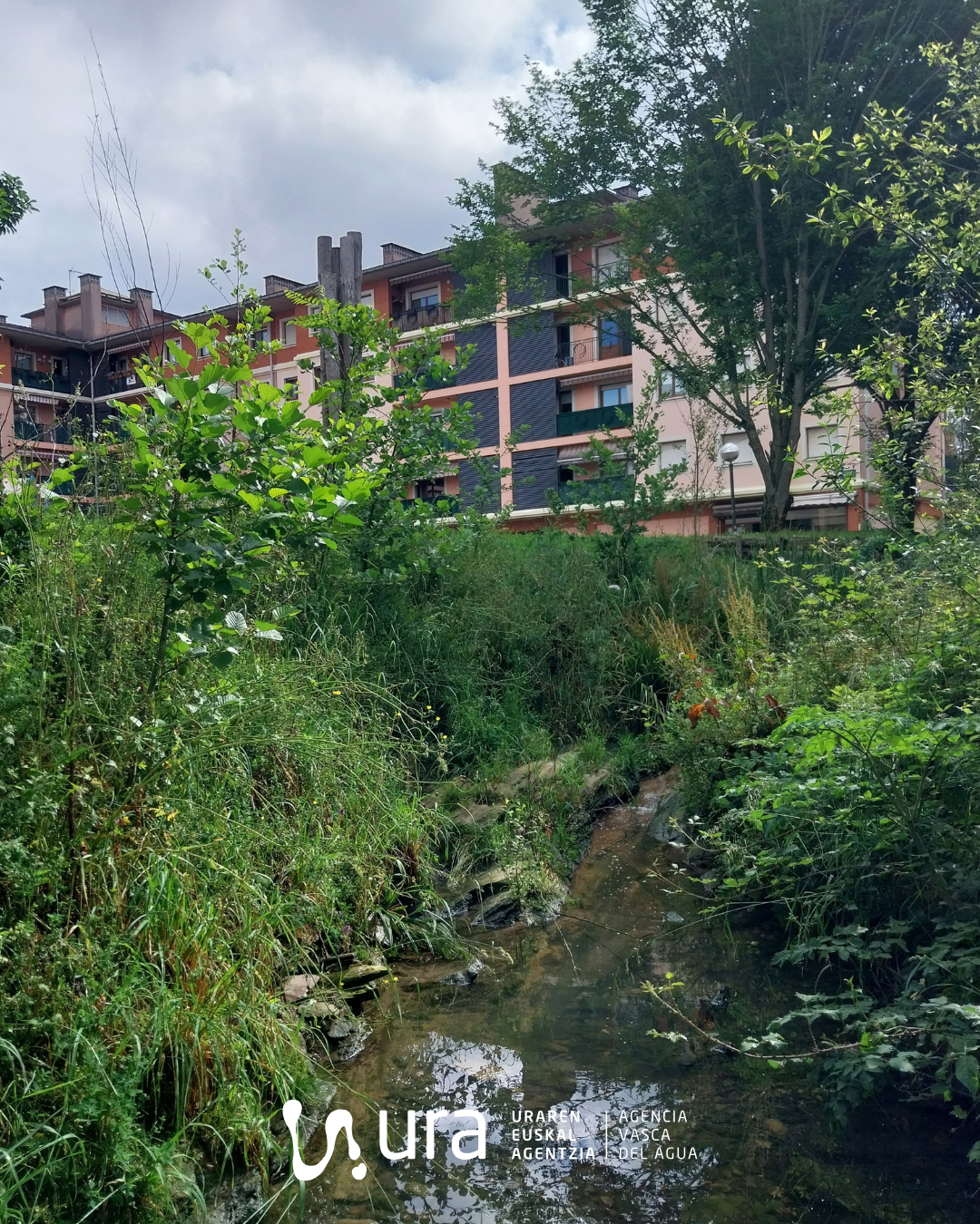 Lezoko Zubitxo erreka lanen ostean