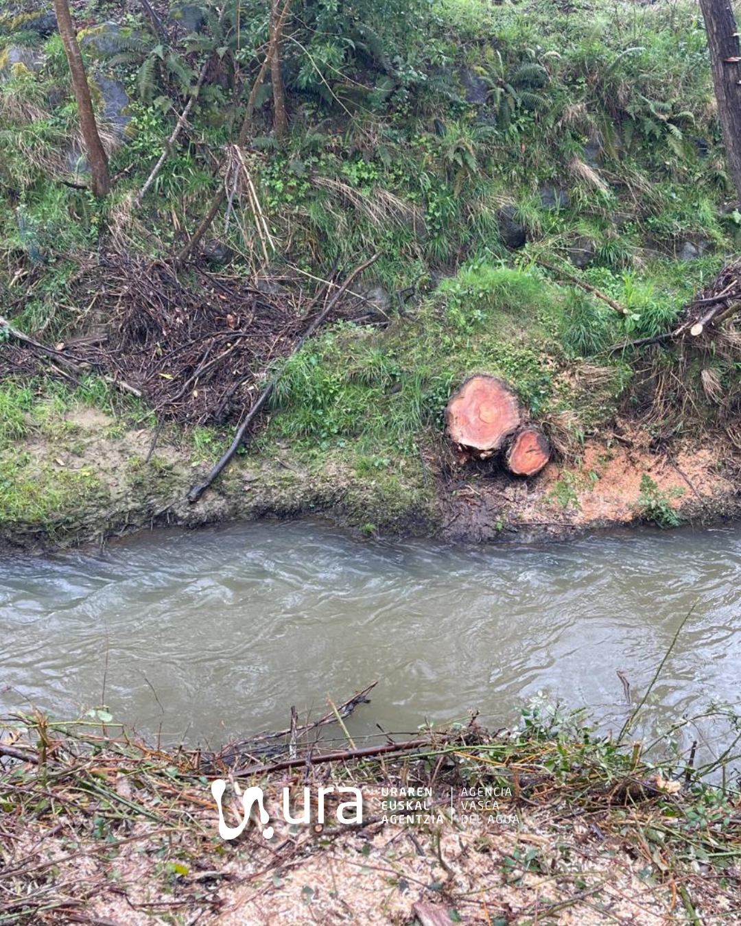 Mantzorriz ibaian, Mungian, egindako jarduketa