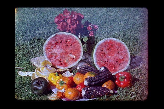 Artium Museoa presenta la exposici&oacute;n "Mirar por un c&iacute;rculo en un c&iacute;rculo de miradas"