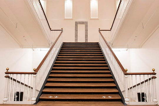 Los cantos de las ranas cobran vida en una instalaci&oacute;n sonora en Tabakalera