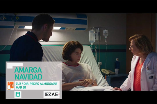 EZAE elkartearen kultur proposamena