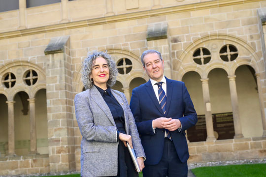 Euskadiko Kultura Sistemaren Legea, kultura-eskubideak, euskara eta erakundeen eta kultura-sektorearen arteko lankidetza sendotzeko