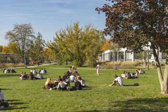 Selección de un lector o lectora de lengua y cultura vasca: Universidad Freie de Berlín (2026) Selección de un lector o lectora de lengua y cultura vasca: Universidad Freie de Berlín (2026)