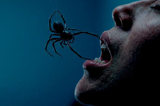 Avance de programaci&oacute;n de la Semana de Cine Fant&aacute;stico y de Terror de San Sebasti&aacute;n