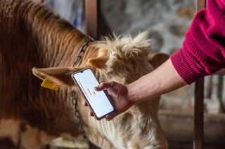 Agritech-web-neiker.jpg