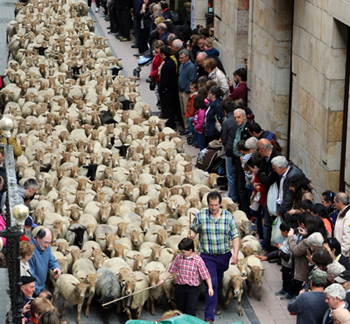 Artzai Eguna de Ordizia 2016