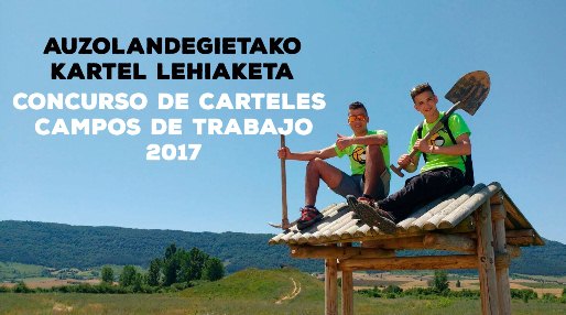 Concurso carteles Campos de trabajo 2017