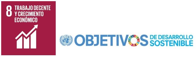 Ojetivo nº 8 de la Agenda 2030 de Objetivos de Desarrollo Sostenible: “Trabajo decente y crecimiento económico