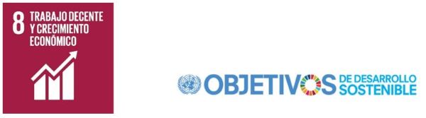 bjetivo n&ordm; 8 de la Agenda 2030 de Objetivos de Desarrollo Sostenible: &ldquo;Trabajo decente y crecimiento econ&oacute;mico&rdquo;