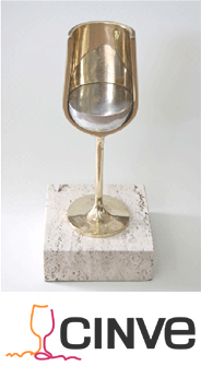 Premio CINVE 2013