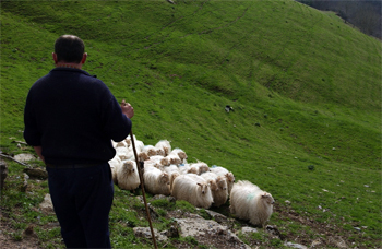 Foto: "CC BY-3.0-ES 2012/EJ-GV/Irekia-Gobierno Vasco/Mikel Arrazola"