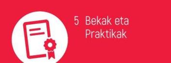 BEKAK eta PRAKTIKAK