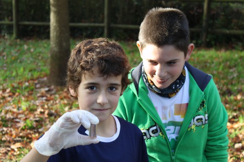 Escolares haciendo el análisis