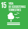 Objetivo desarrollo 15. Vida de ecosistemas terrestrtes