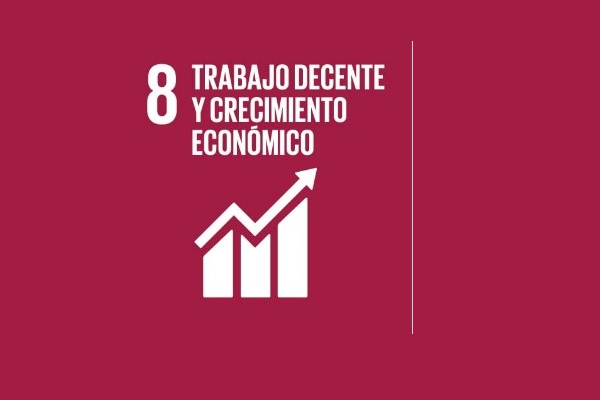 Imagen. Trabajo decente y econ&oacute;mico