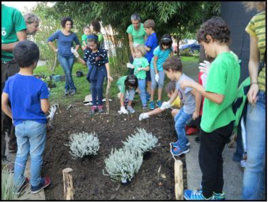 gym berdea blog sarrera irudia