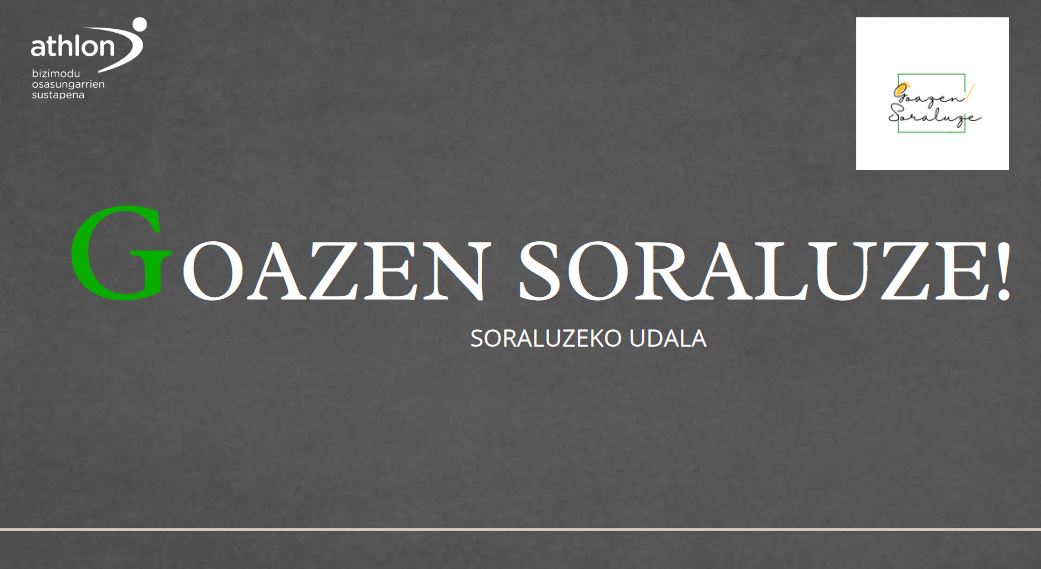 Imagen del artículo Los primeros seis meses del servicio de orientación Goazen Soraluze!