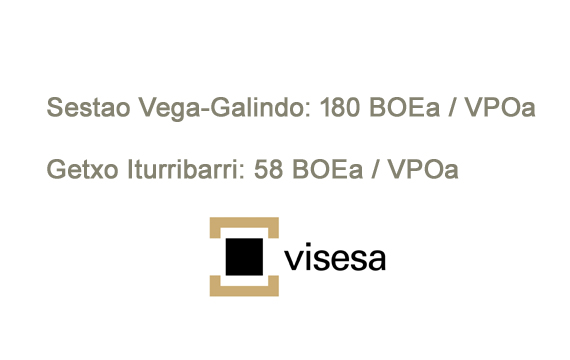 VISESA PUBLICA LA LICITACI&Oacute;N DE LAS OBRAS DE 180 VIVIENDAS DE PROTECCI&Oacute;N OFICIAL EN ALQUILER (VPOa) EN SESTAO Y 58 VIVIENDAS DE PROTECCI&Oacute;N OFICIAL EN ALQUILER (VPOa) EN ITURRIBARRI-GETXO