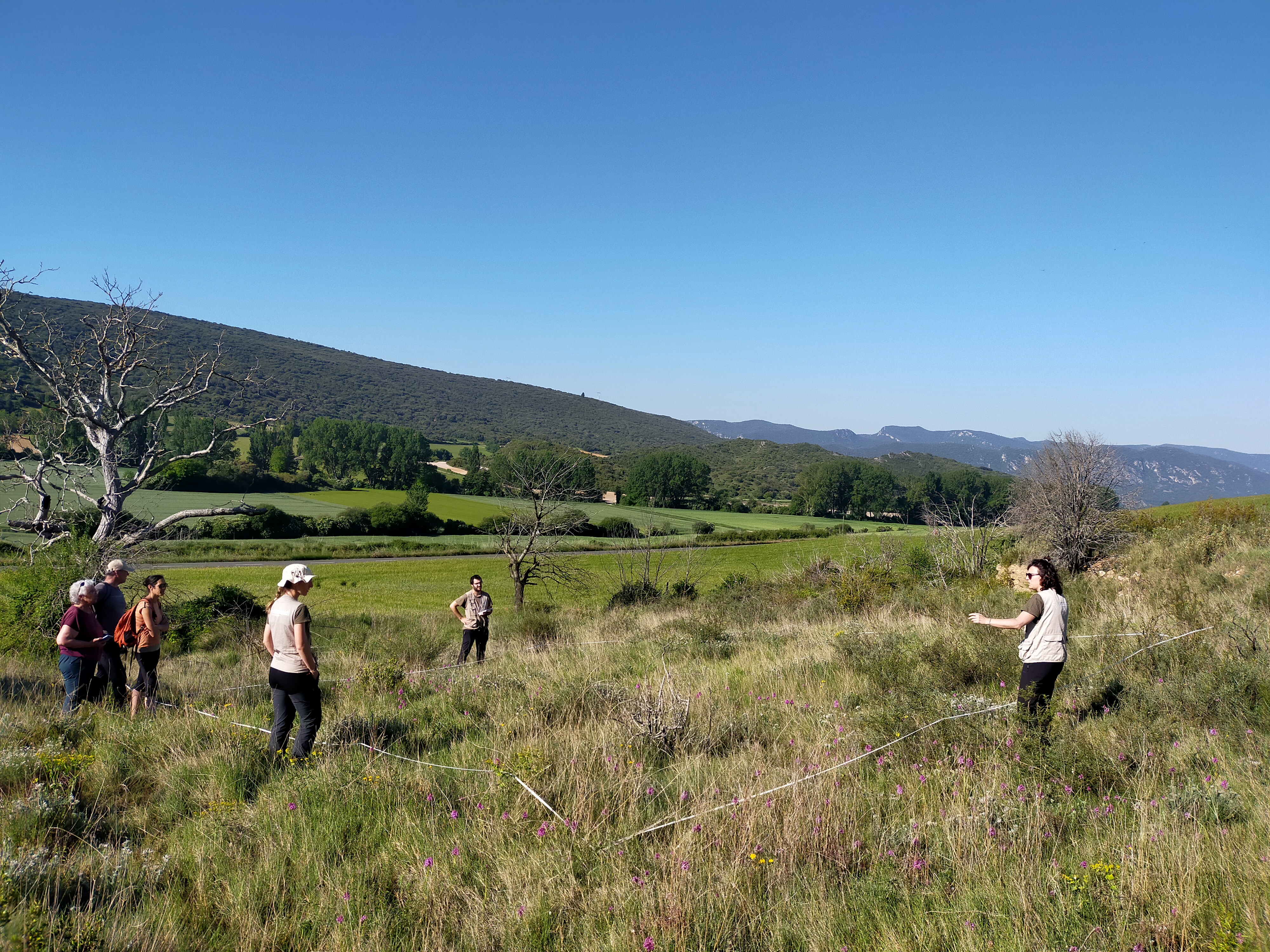 Inicio de los trabajos de seguimiento en campo de los h&aacute;bitats de inter&eacute;s natural de Euskadi