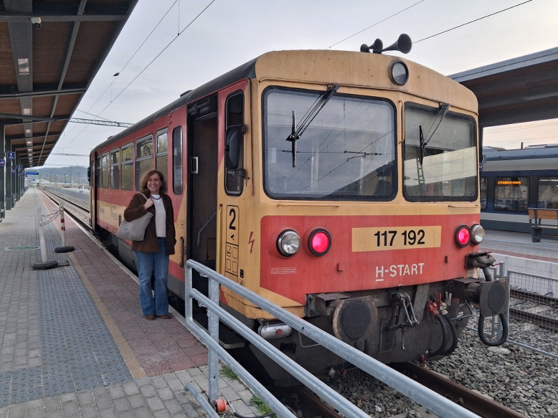 Susana Garc&iacute;a Chueca defiende en Hungr&iacute;a que el transporte p&uacute;blico transfronterizo sea una alternativa real al veh&iacute;culo privado