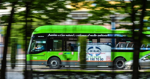 Imagen del artículo Plena inclusión evaluará la accesibilidad cognitiva de 10 líneas de autobuses