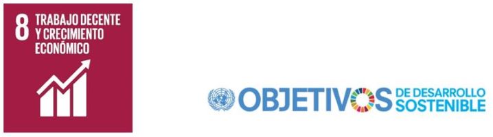 Objetivo nº 8 de la Agenda 2030 de Objetivos de Desarrollo Sostenible: