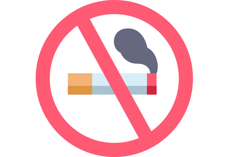 Irudia. Mugikortasuna