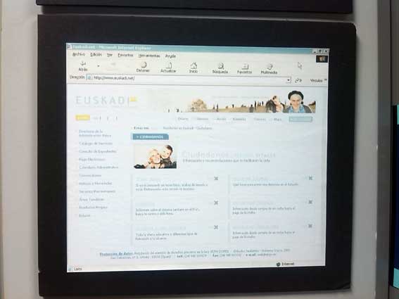 Euskadi.eus proposamenak 2004