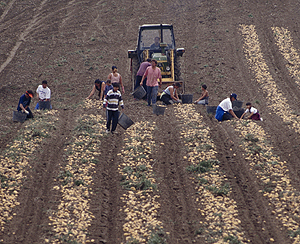 'CC BY-3.0-ES 2012/EJ-GV/Irekia-Gobierno Vasco/Mikel Arrazola'