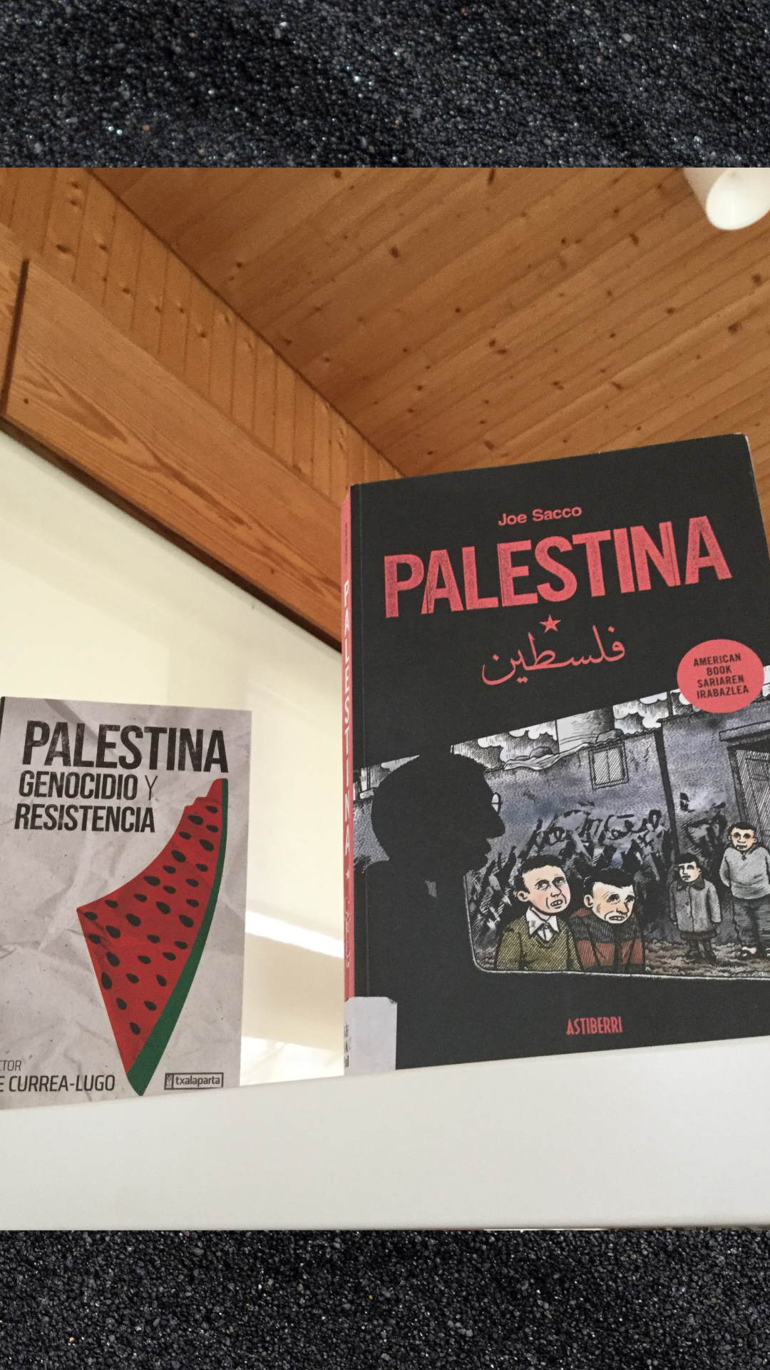 Palestina: novela gr&aacute;fica y an&aacute;lisis