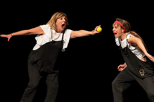 "La maja y la mona (o viceversa)"