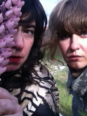 PINK FLAMINGOS, CRAZY HORSES